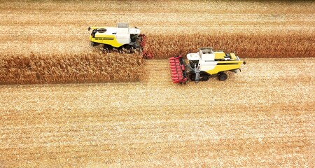 two Maize chopper, forage harvester harvesting maize on a field, agriculture from a bird's eye view