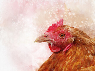Watercolor illustration of a brown chicken. Bird illustration.