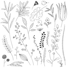 植物の線画イラストセット