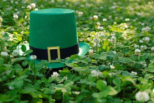 Green leprechaun hat in green clover.Irish traditional spring holiday.Saint Patrick background.St. Patricks Day green blurred background with shamrock leaves.