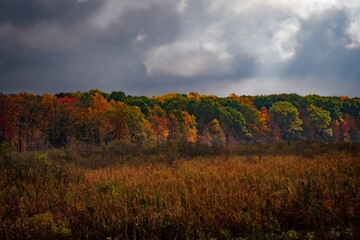 autumn landscape in the mountains