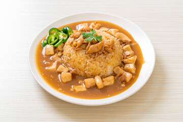 Chicken in brown sauce or gravy sauce with rice