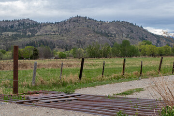 cattle guard on farm lane in mountains