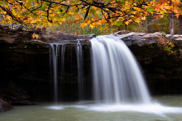 Autumn Leaf Waterfall Canopy