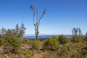 View of the Salish Sea from the Great Canadian Trail near the Abyss in Nanaimo, BC