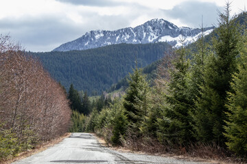 Fototapeta na wymiar road to snow capped mountains at Nanaimo Lakes