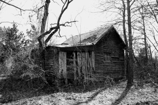spooky horror haunted abandoned rural shack house farm barn black white dramatic architectural landscape background