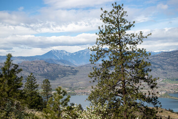 view of Osoyoos lake and mountains through the trees on Anarchist Mountain in British Columbia, Canada on a spring day