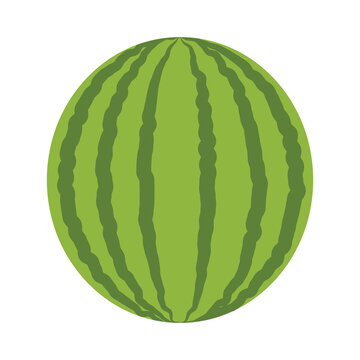 Cute watermelon fruits cartoon clip art icon in vector design