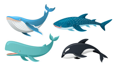Obraz na płótnie Canvas Whales collection in cartoon illustration