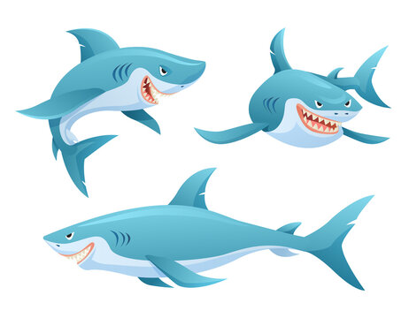 Set of shark in various poses cartoon illustration