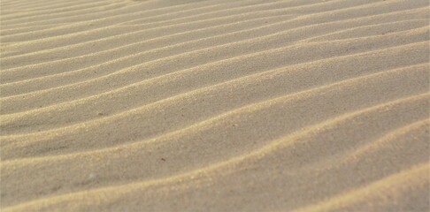 Dunas onduladas