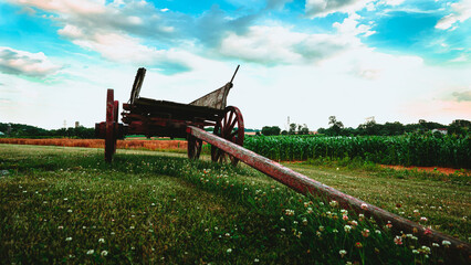 Wagon in Field