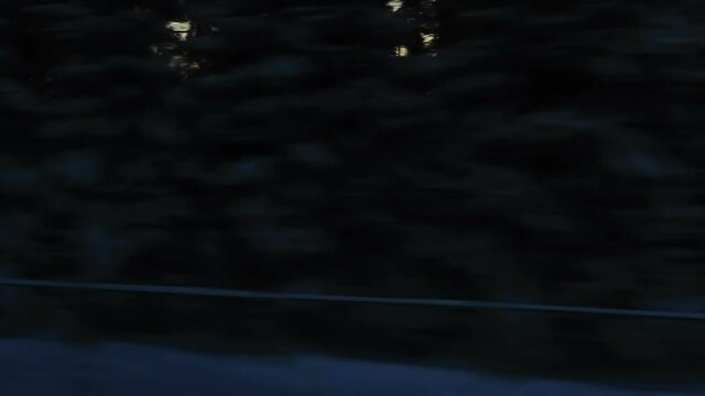 View from the window of the high-speed train to Silhouettes of trees at sunset (POV)