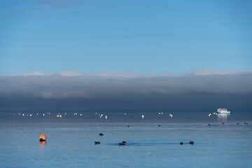 Bouys off shore on Lake Tahoe on a calm winter morning with a cloud bank in the distance