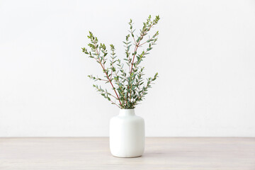Fototapeta na wymiar Vase with green eucalyptus branches on wooden table near light wall