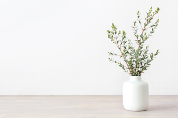 Vase with green eucalyptus branches on wooden table near light wall