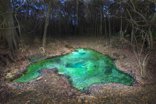 Unamed Sinkhole At Night In Florida