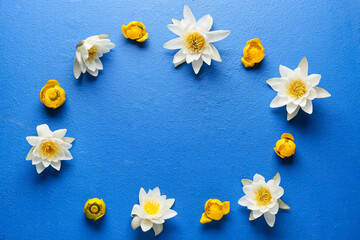 Obraz premium Frame made of white and yellow lotus flowers on blue background
