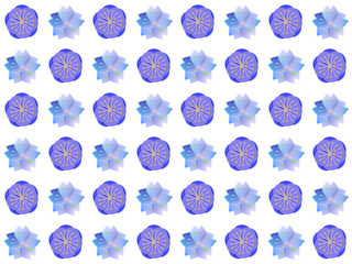 梅と桜の壁紙背景模様、青