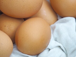 photo of chicken eggs for cooking