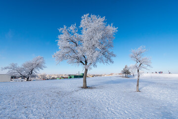 Winter 5