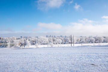 Obraz premium Winter 3