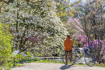 A man sits on his bicycle while he stares at a beautiful spring landscape in the botanical garden of Montreal in Canada