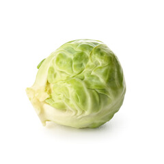 Raw fresh Brussels sprout on white background