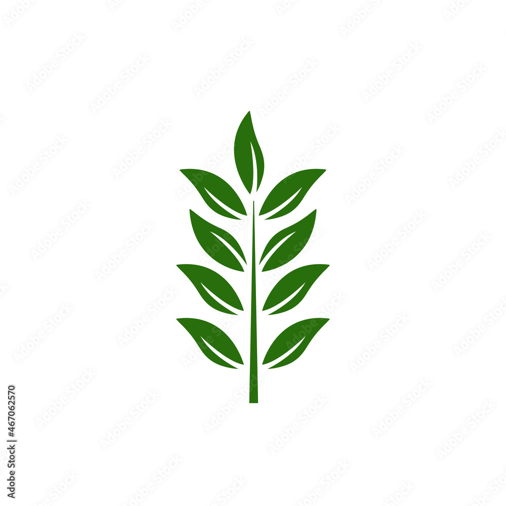 Canvas Prints leaf branch icon design template vector