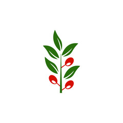 leaf branch icon design template vector