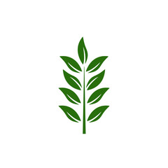 leaf branch icon design template vector
