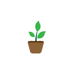 Plant pot icon design template vector isolated illustration