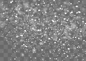 Snowfall, snowflakes in different shapes and forms. Snowflakes, snow background. Christmas snow for the new year.