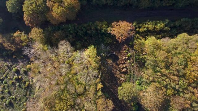 Drone view of deforestation taking place in UK.  Captured in 4K by a DJI drone.