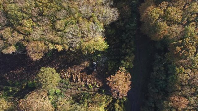 Birds eye view of deforestation taking place in UK. Drone footage in 4K.
