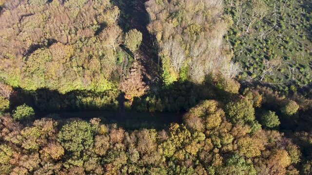 Drone watching deforestation taking place in UK