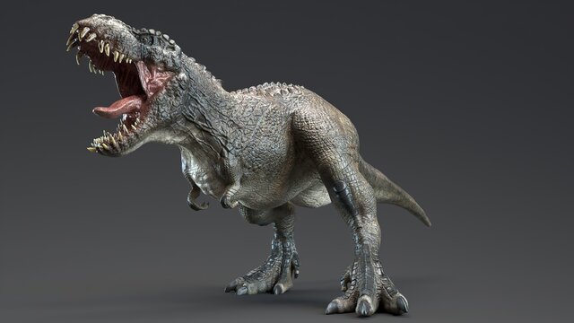 Fototapeta V - Rex dinosaur , of background. 3d rendering
