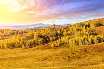 Colorful forest and mountain natural landscape in autumn.Beautiful autumn scenery in the Ulan Butong grassland,Inner Mongolia,China.
