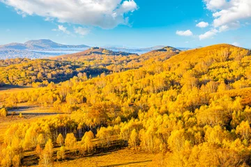 Schilderijen op glas Beautiful mountain and forest natural landscape in autumn.Beautiful autumn scenery in the Wulan Butong grassland,Inner Mongolia,China. © ABCDstock