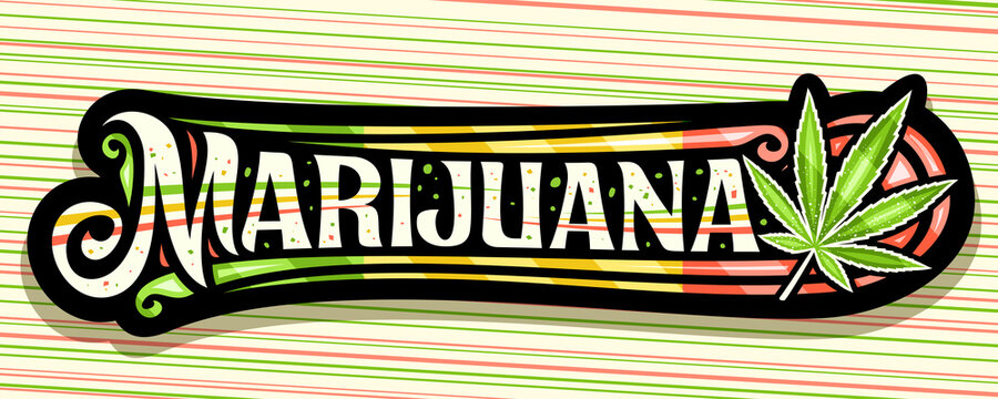 Vector banner for Marijuana, dark horizontal sign board with illustration of marijuana leaf, colorful decorative flourishes, add voucher with unique lettering for word marijuana on striped background.
