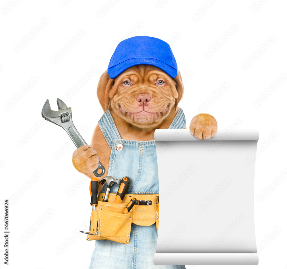 Aufkleber Funny puppy wearing blue cap and  overalls with tool belt holds adjustable wrench and shows empty list. Isolated on white background