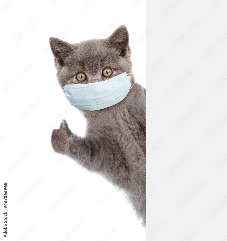 Poster kitten wearing medical protective mask looks from behind empty banner and shows thumbs up gesture. i