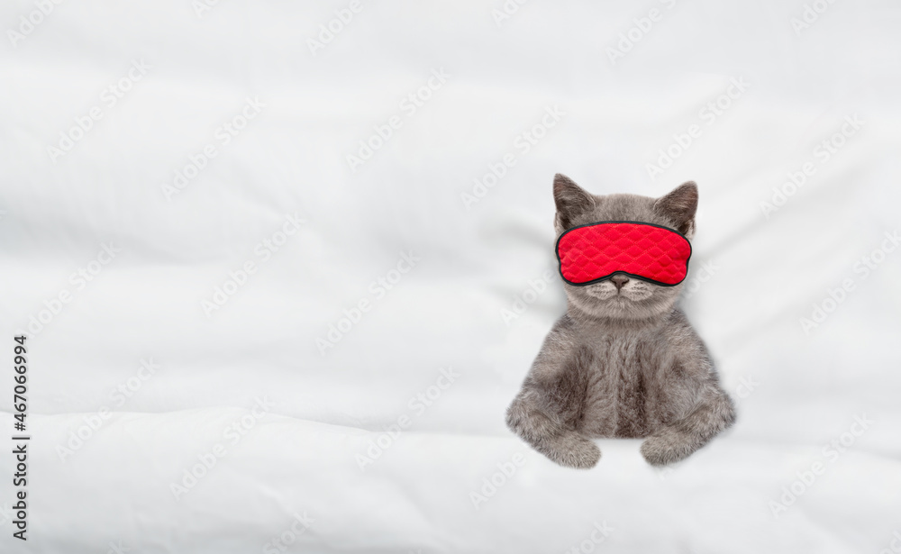 Poster cozy kitten wearing sleeping mask sleeps under blanket on a bed at home. top down view. empty space 