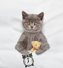 Funny kitten lying under warm white blanket on a bed at home, hugs favorite toy bear and shows...