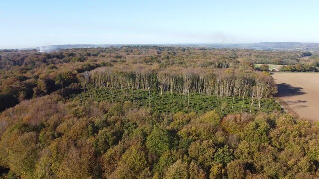 Deforestation in England shot in 4k by a drone