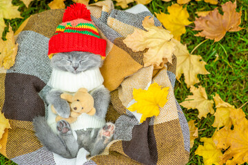 Kitten wearing warm hat and sweater sleeps on plaid and hugs toy bear. Top down view, Empty space for text