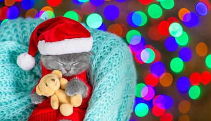Tiny kitten wearing warm sweater  and red santa hat hugs toy bear and sleeps inside basket. Top down view. Empty space for text