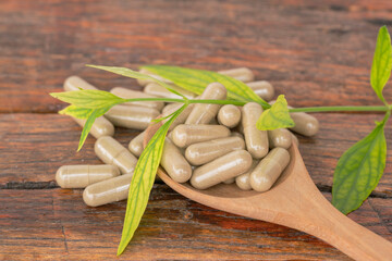 Andrographis Paniculata capsules.