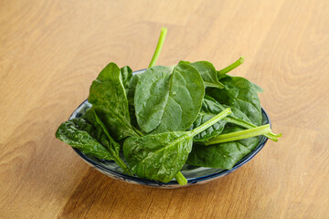 Fresh green spinach leaves in the bowl